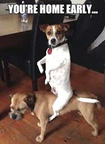 You're Home Early